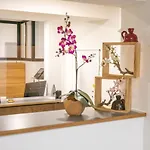 Centro Nuernberg Hotel 3*